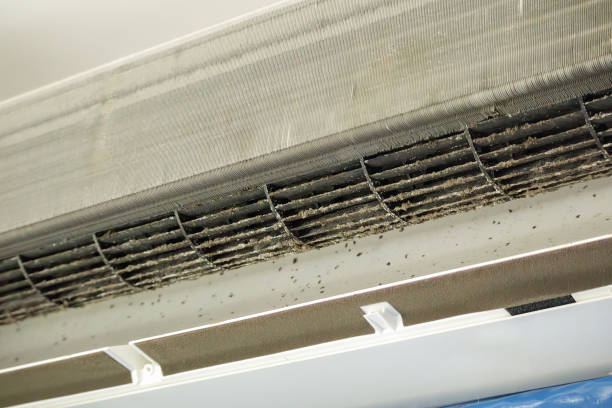 Best Home Air Vent Cleaning  in Etna, PA